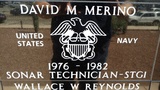 David M Merino