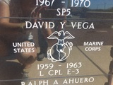 David Y Vega