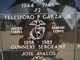 Tellesford P Garza Jr