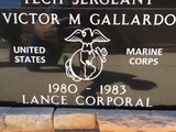 Victor M Gallardo