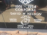 David W Nelson