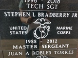 STEPHEN L BRADBERRY JR