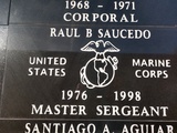 RAUL B. SAUCEDO