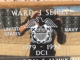 Ward J Seibel