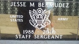 Jesse M Bermudez